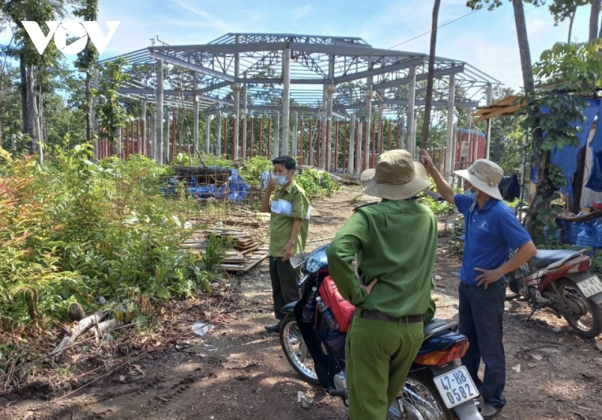 Vụ gỗ trái phép tại Trung tâm bảo tồn voi Đắk Lắk: Khám nghiệm hiện trường